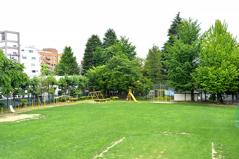 市内唯一の芝生の校庭